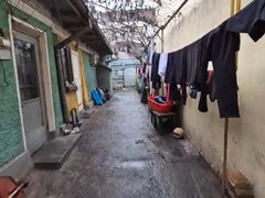 Lacul Tei, teren 250 mp si casa batraneasca toate utilitatile