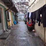 Lacul Tei, teren 711 mp si casa batraneasca, toate utilitatile